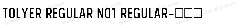 Tolyer Regular no1 Regular字体转换